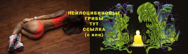 2c-b Алексеевка
