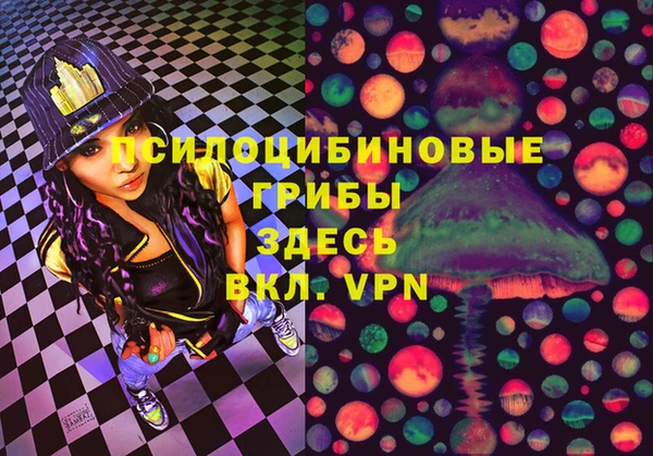 дмт Алзамай