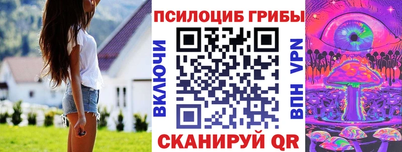где найти   Цивильск  Галлюциногенные грибы прущие грибы 